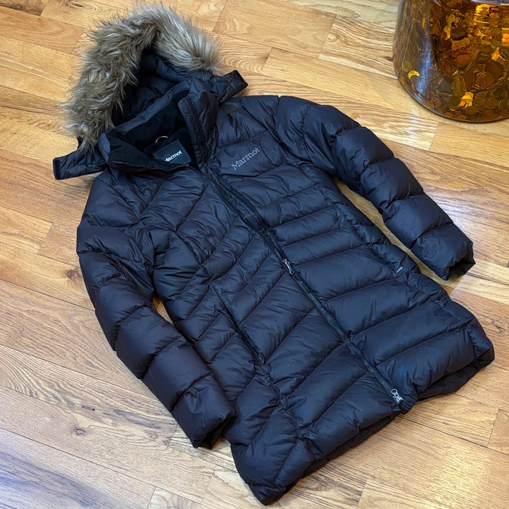 Marmot - image 1